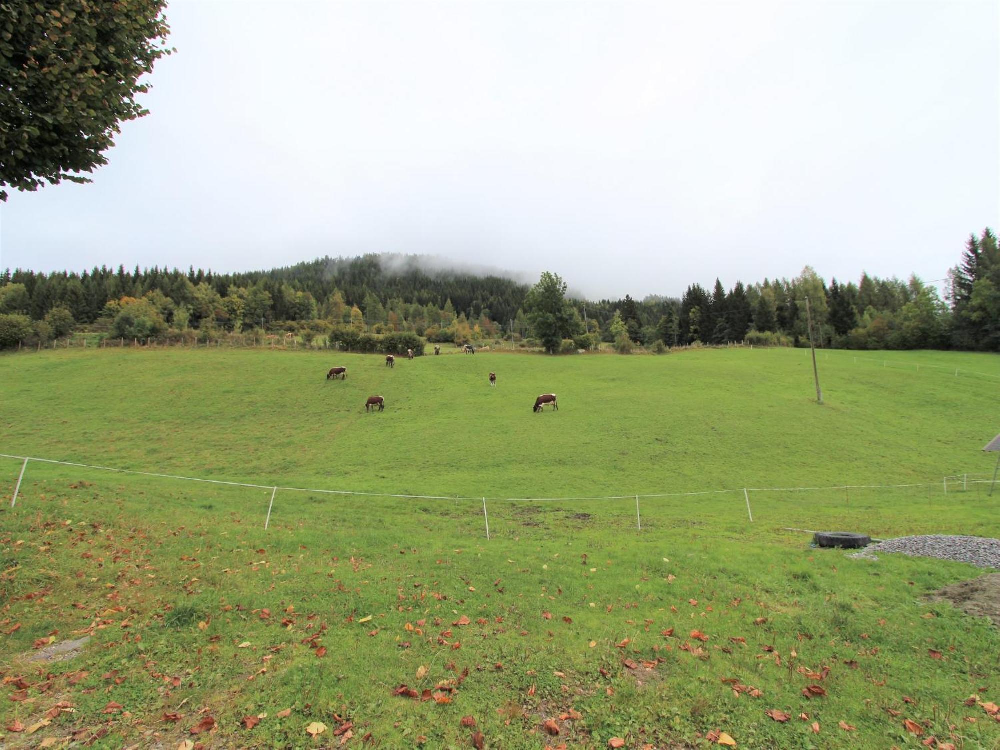 Characterful Old Farmhouse With 4 Apartments In Fresach Carinthia With Garden Eksteriør bilde